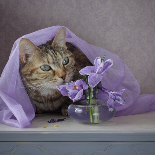 Photo #14049564