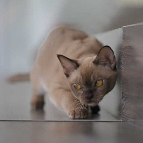 Photo #14049654
