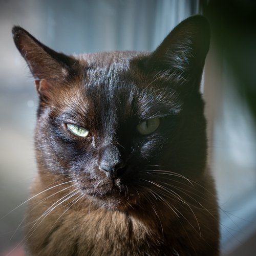 Photo #14049659