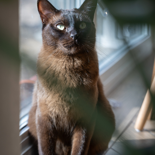 Photo #14049661