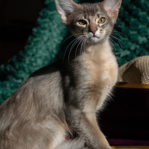 Photo #14049709