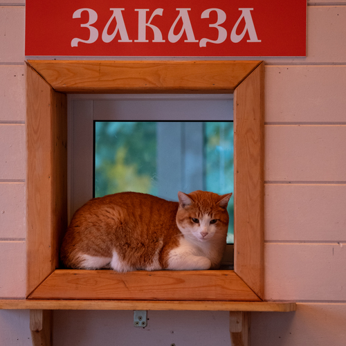 Photo #14049820