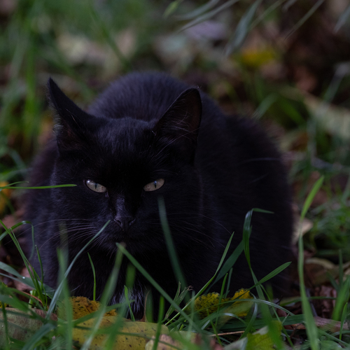 Photo #14049834