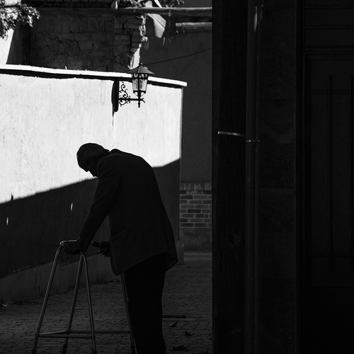 At the Edge of Light