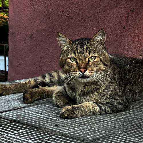 Photo #14049887
