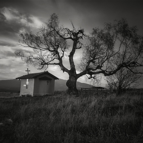 Photo #14049994