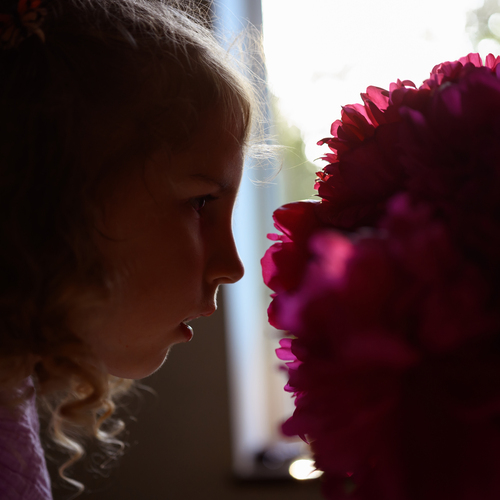 Photo #14050008