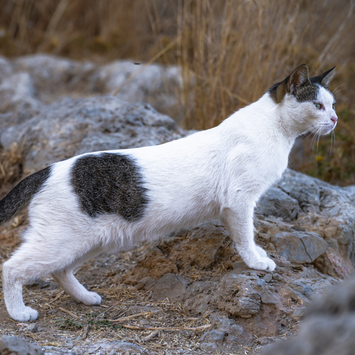 Photo #14050048