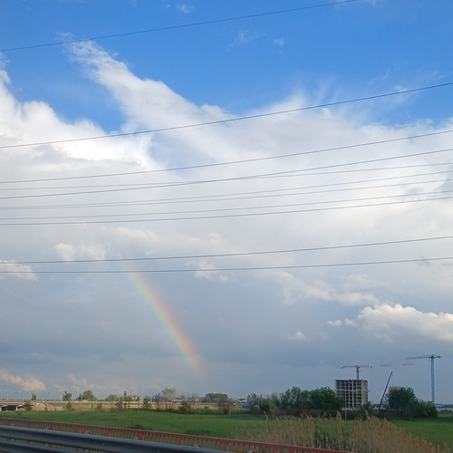 Photo #14050078