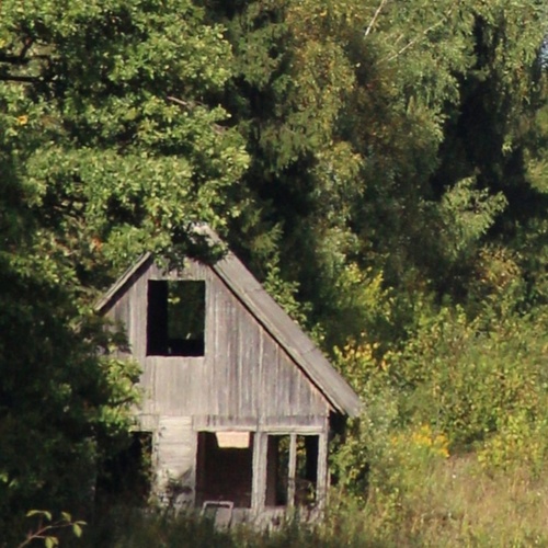 Photo #14050157