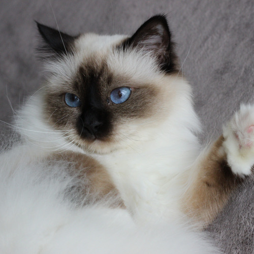 Photo #14050171