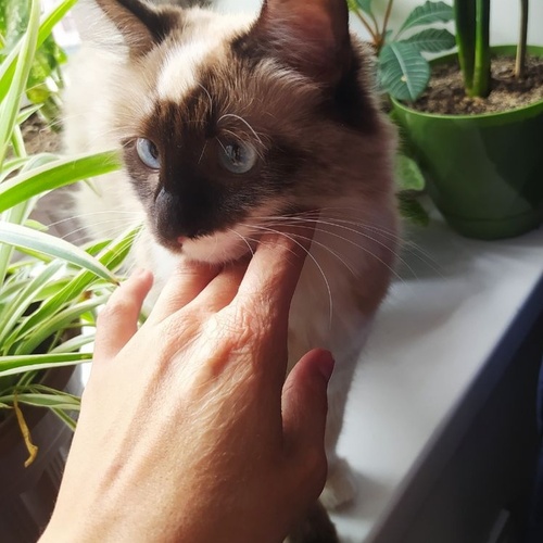 Photo #14050207