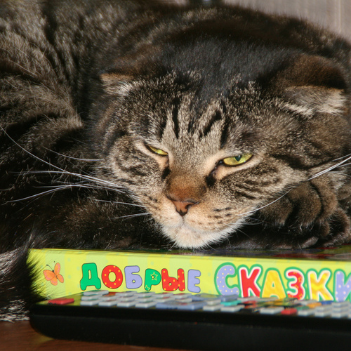 Photo #14050211