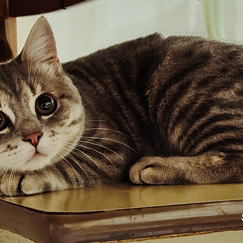 Photo #14050219