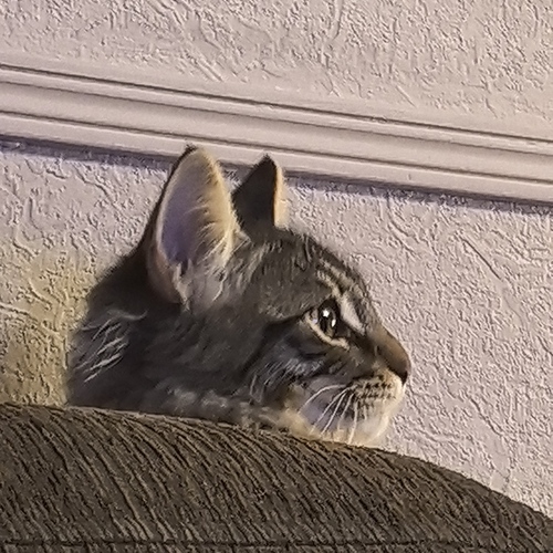 Photo #14050223