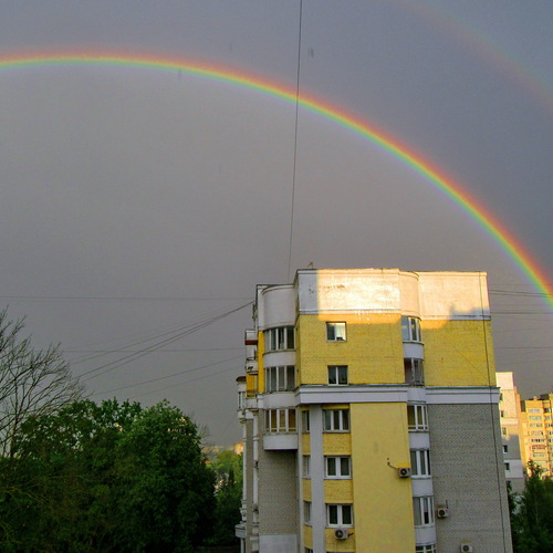 Photo #14050318