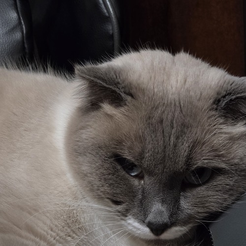 Photo #14050386