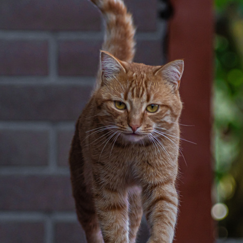 Photo #14050431