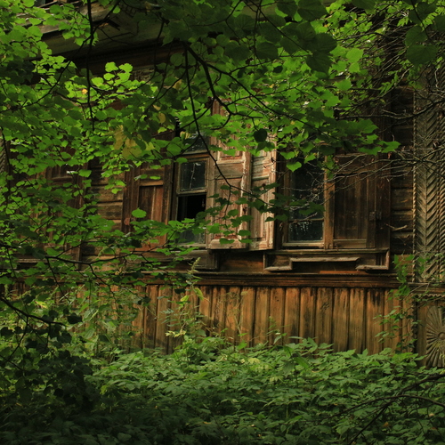 Photo #14050521