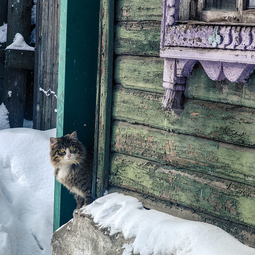 Photo #14050583