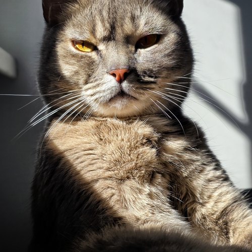 Photo #14050599