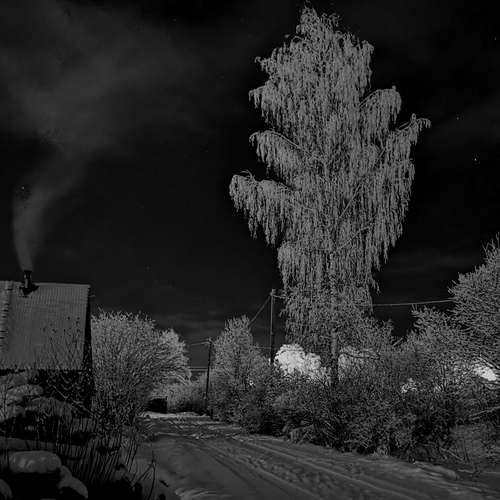 Photo #14050625