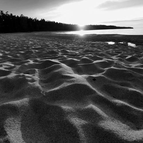 Photo #14050629