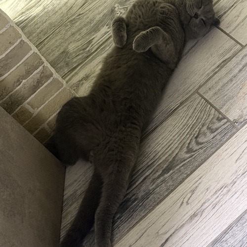 Photo #14050630