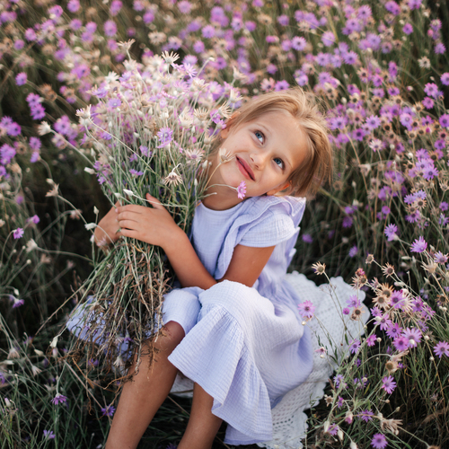 Photo #14050634