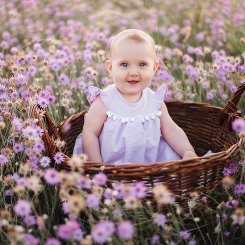 Photo #14050646
