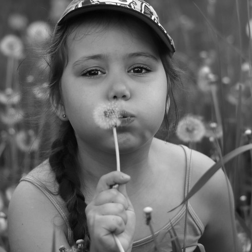 Photo #14050663