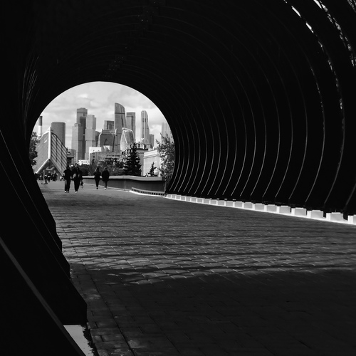 Photo #14050665