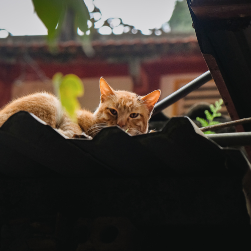 Photo #14050755
