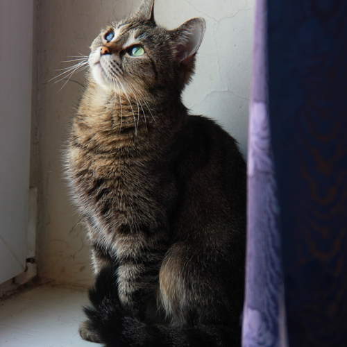Photo #14050788