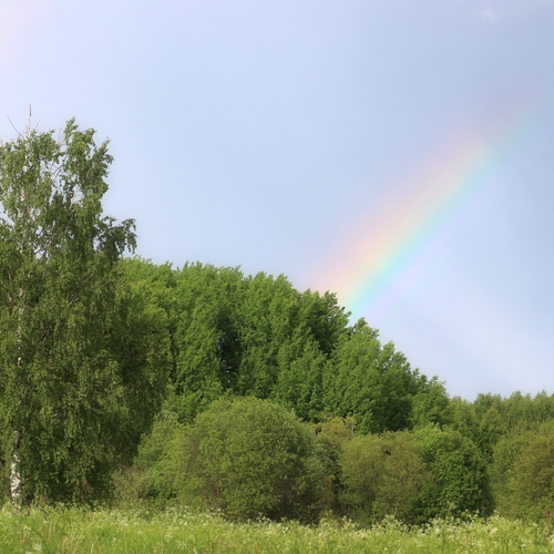 Photo #14050812