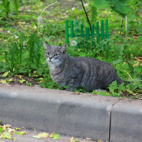 Photo #14050818