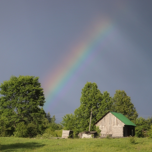 Photo #14050832