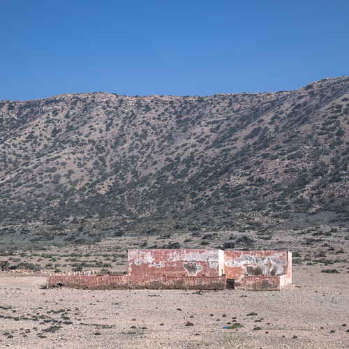 Photo #14050851