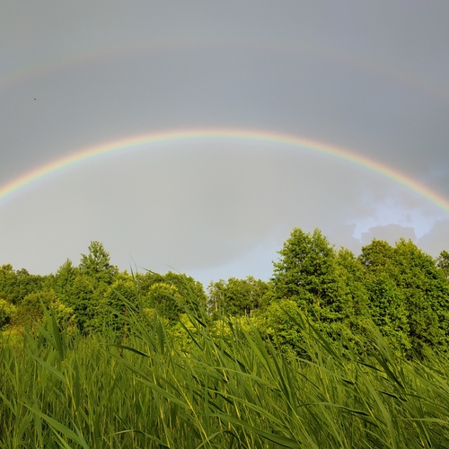 Photo #14050852