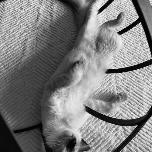Photo #14050918