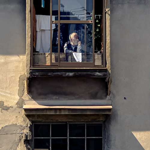 The Last Window
