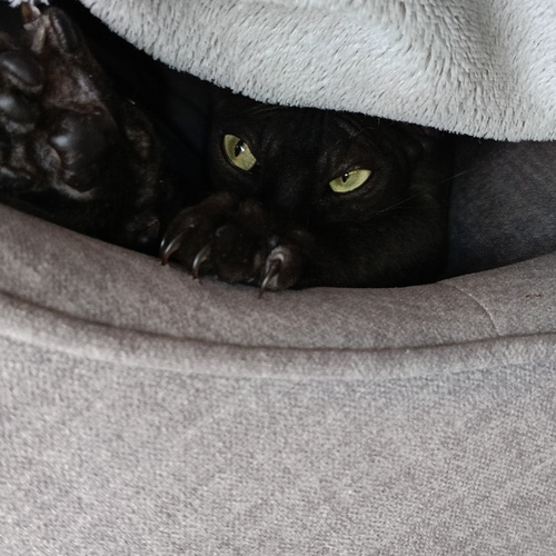 Photo #14051100