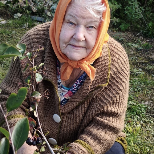 Photo #14051118