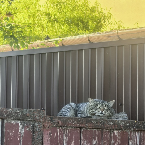 Photo #14051251