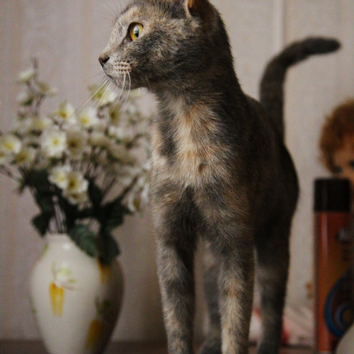 Photo #14051343
