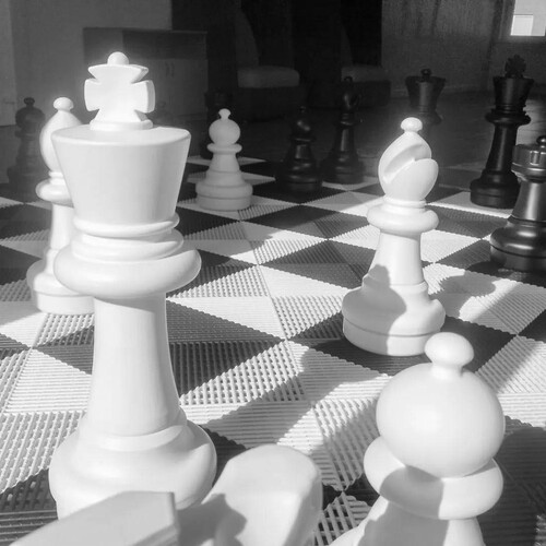 Photo #14051578