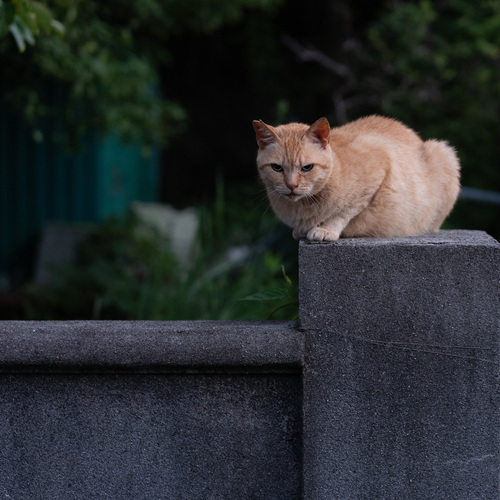 Photo #14051579