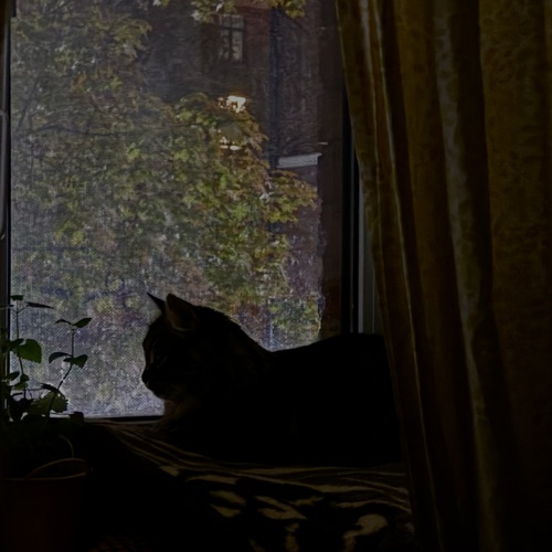 Photo #14051641