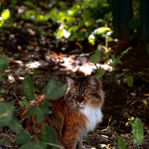 Photo #14051645