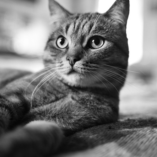 Photo #14051658